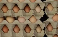 NSW Food Authority issues Salmonella warning for eggs