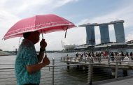 Singapore should consider enacting Climate Change Act: MP Lim Wee Kiak