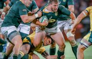 Springboks exit from Rugby Championship confirmed
