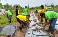 Empowering Agriculture: Vanuatu's Endeavor Towards Sustainable Farming Practices