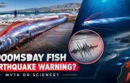 Chile’s ‘Doomsday Fish’ Sparks Earthquake Fears: What Science Really Says
