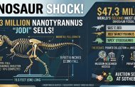 $47.3 Million Dinosaur Shock: Rare Nanotyrannus “Jodi” Becomes the World’s Second-Most-Expensive Dinosaur Fossil